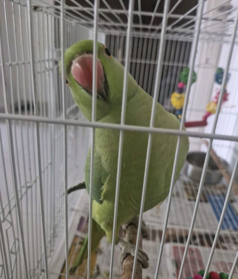 IMG_20250623_140658.607