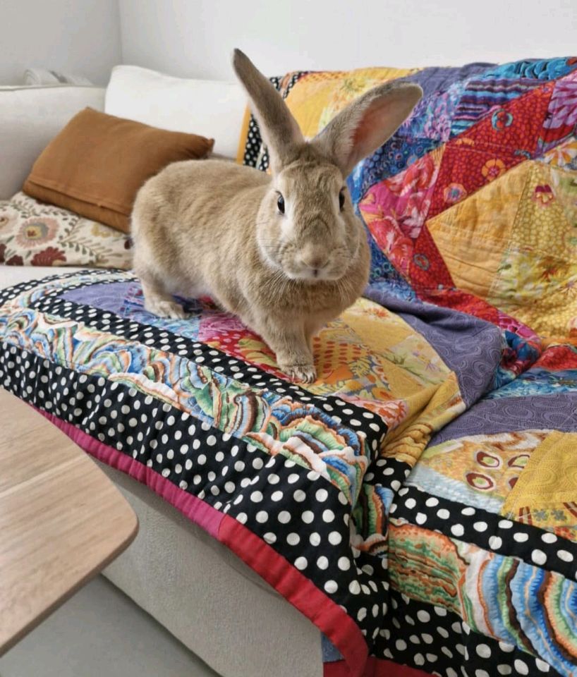 IMG_20250623_140658.679