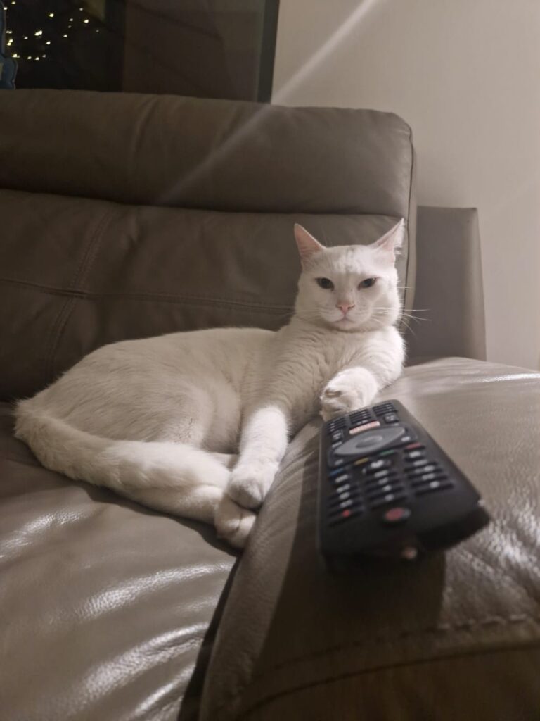 WhatsApp Image 2025-06-22 at 10.39.38 AM