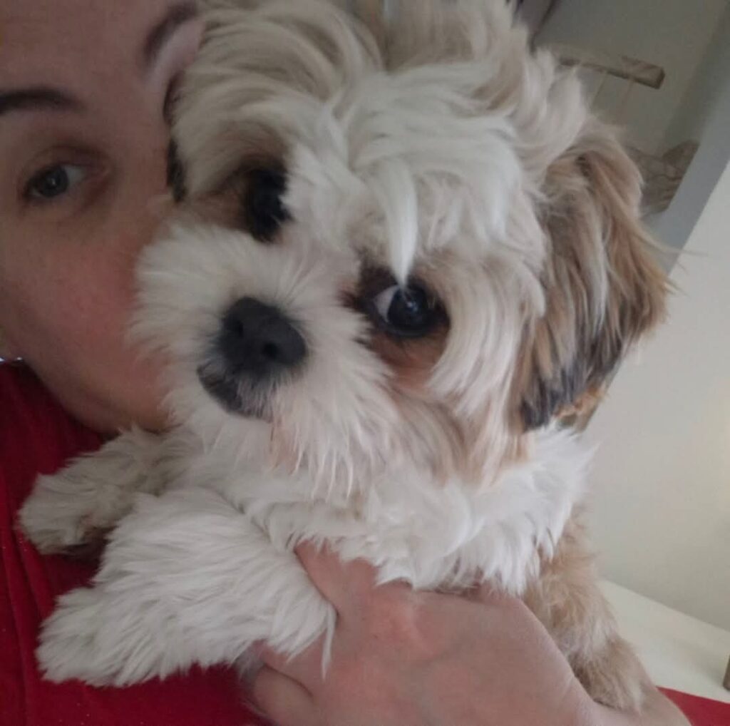 WhatsApp Image 2025-06-22 at 11.01.37 AM