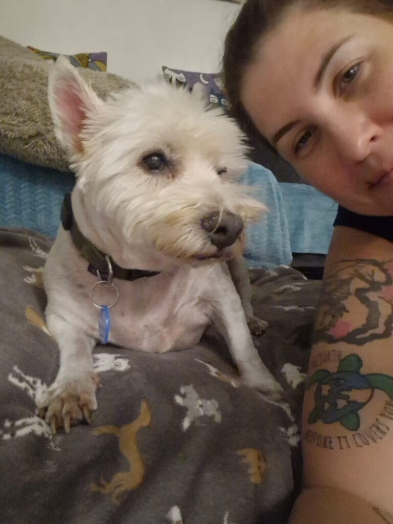 WhatsApp Image 2025-06-22 at 11.01.38 AM (1)