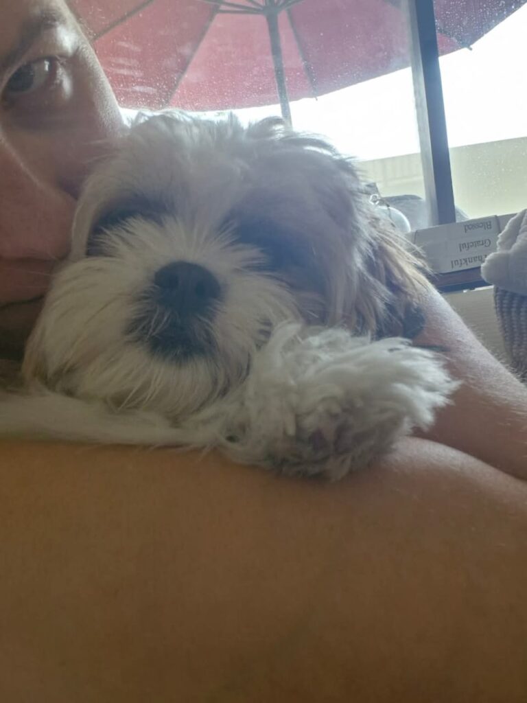 WhatsApp Image 2025-06-22 at 11.01.38 AM