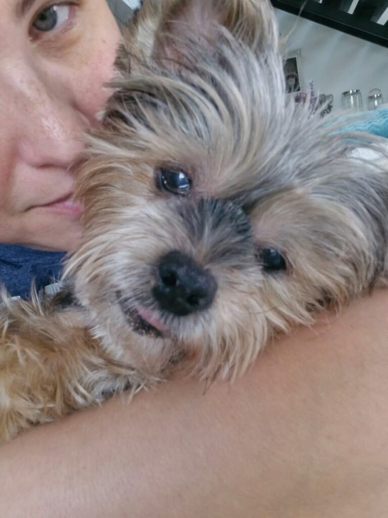 WhatsApp Image 2025-06-22 at 11.01.39 AM