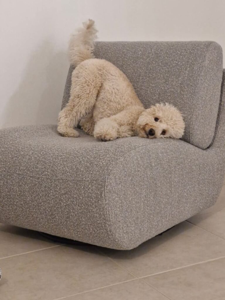 WhatsApp Image 2025-06-22 at 11.01.41 AM