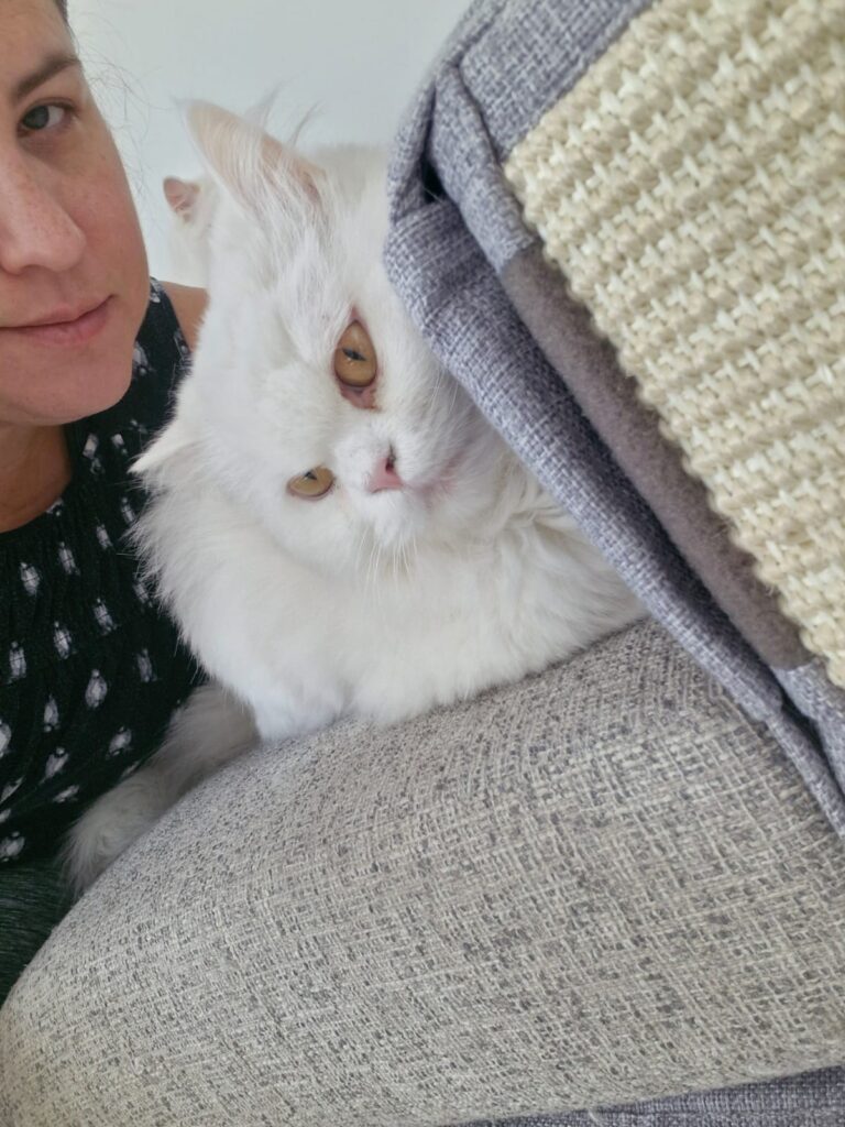 WhatsApp Image 2025-06-22 at 11.01.48 AM