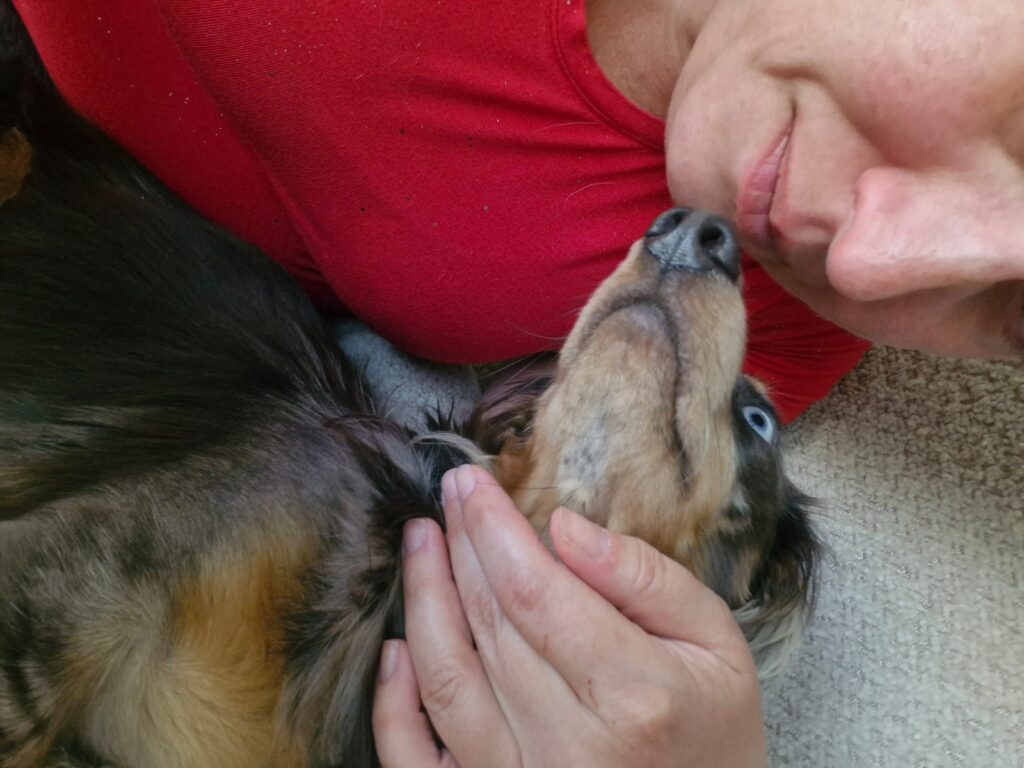 WhatsApp Image 2025-06-22 at 11.01.50 AM