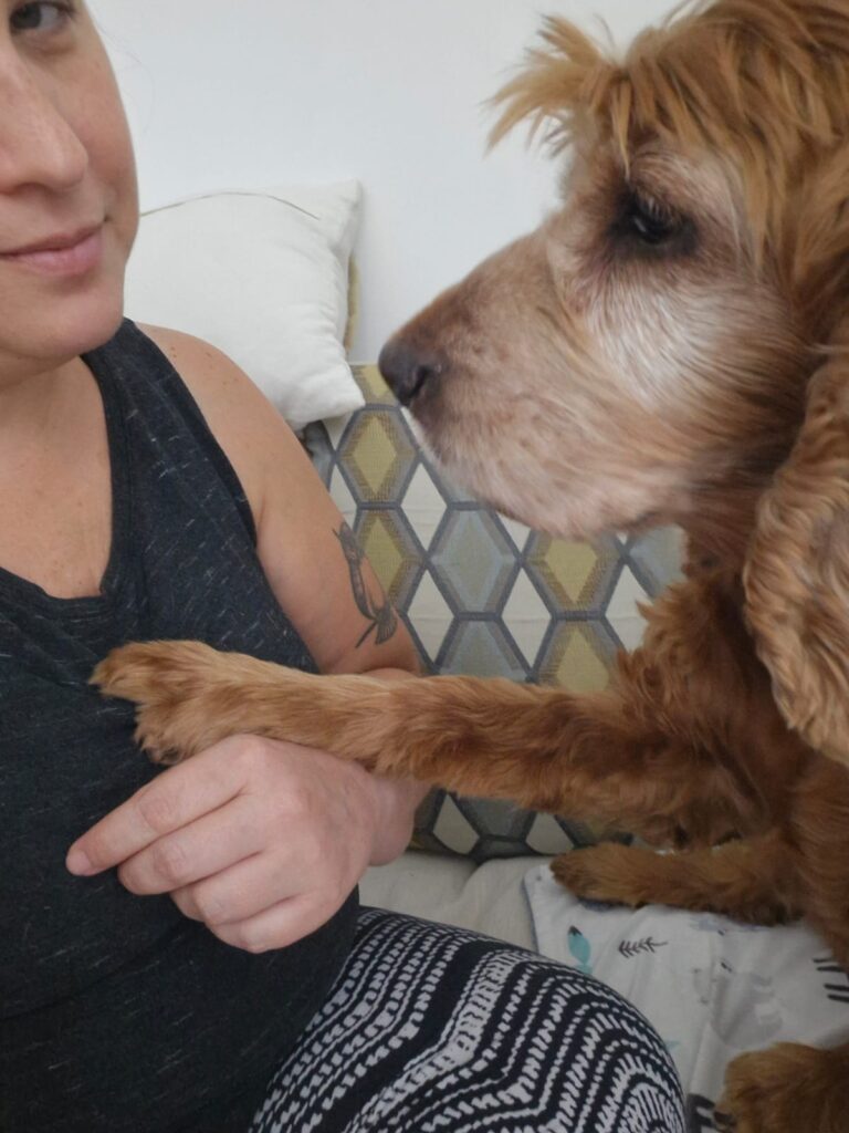 WhatsApp Image 2025-06-22 at 11.01.52 AM (1)