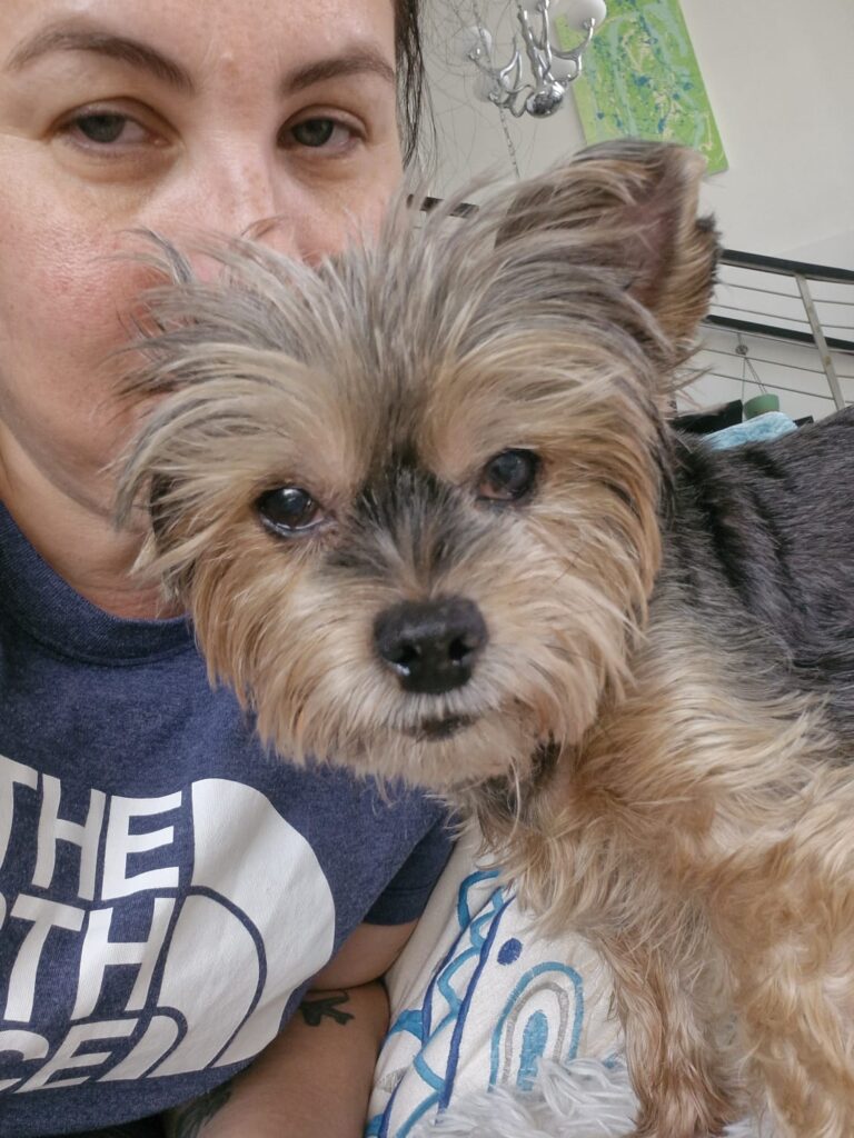 WhatsApp Image 2025-06-22 at 11.01.55 AM