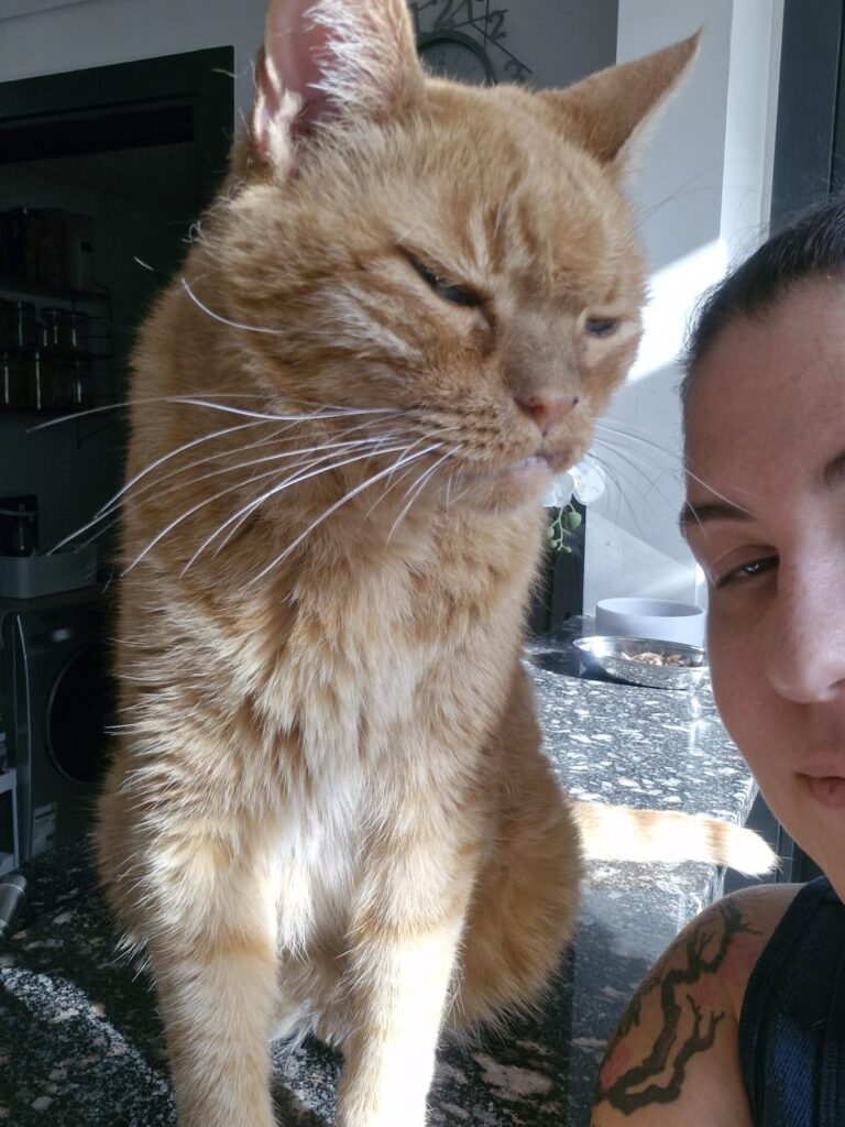 WhatsApp Image 2025-06-22 at 11.01.56 AM (1)