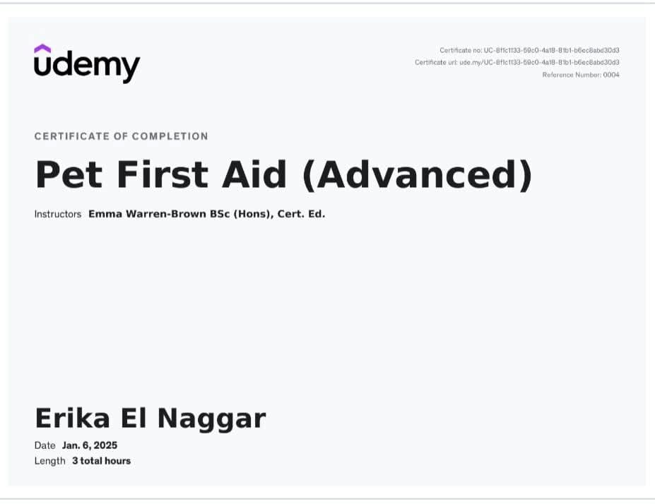 WhatsApp Image 2025-06-22 at 12.03.49 PM