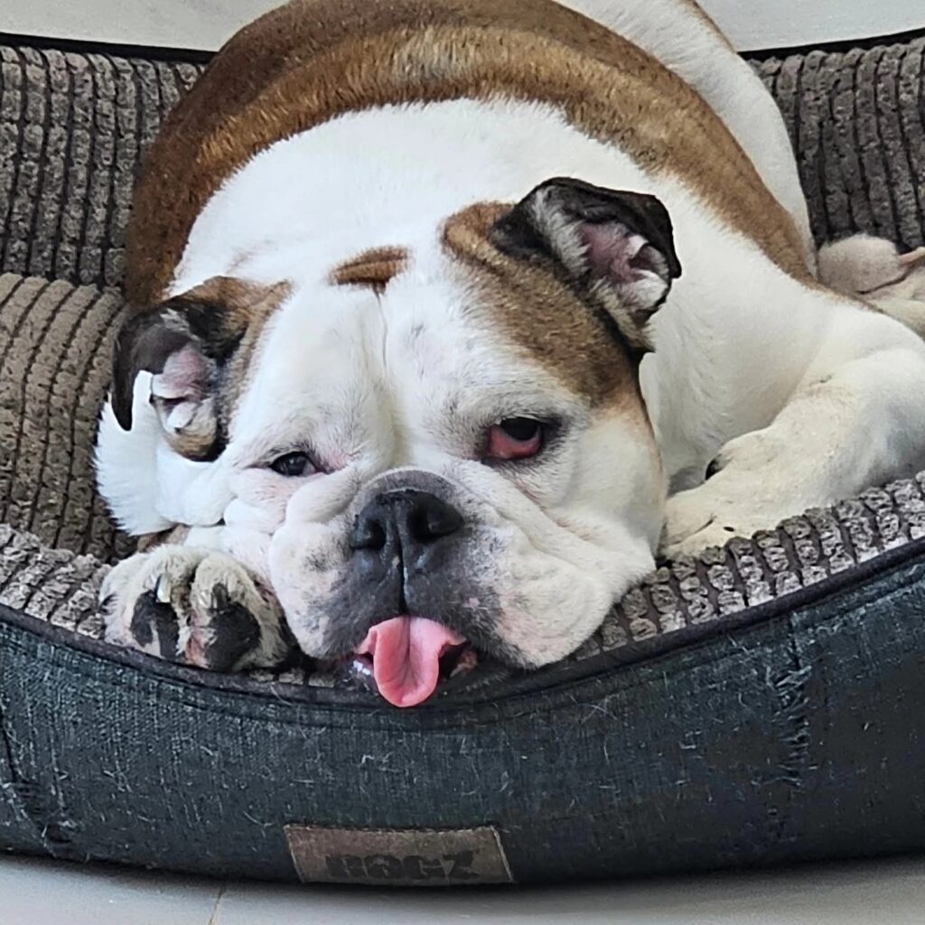 WhatsApp Image 2025-06-22 at 8.29.04 PM