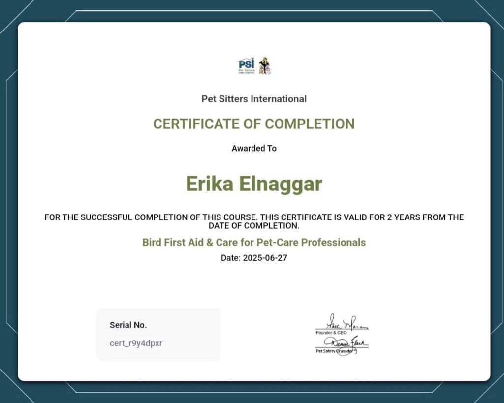 IMG_20250701_133033.277