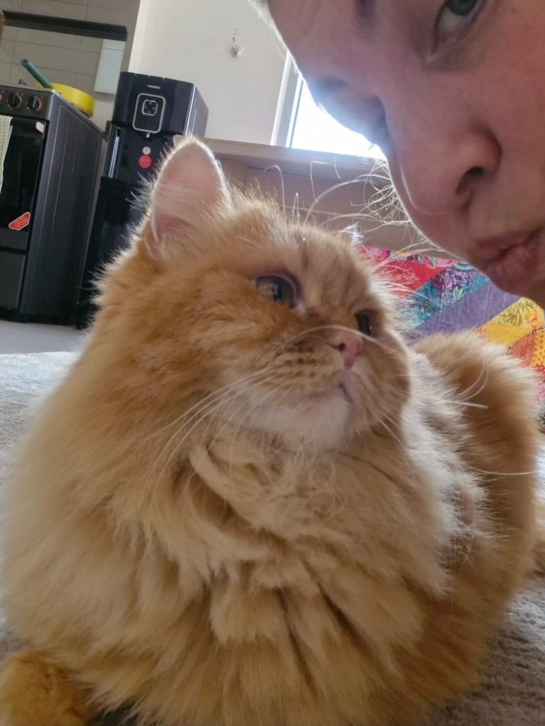 WhatsApp Image 2026-02-04 at 10.18.24 AM